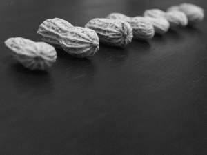peanuts lined up